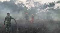 Dukungan Warga dan TNI Padamkan Karhutla 1 Hektare di Sepaso Selatan Dukungan Warga dan TNI Padamkan Karhutla 1 Hektare di Sepaso Selatan