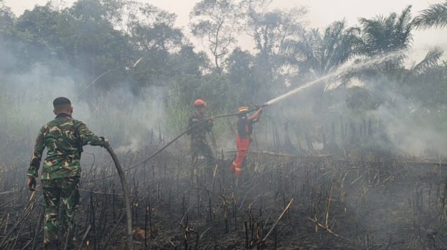 Dukungan Warga dan TNI Padamkan Karhutla 1 Hektare di Sepaso Selatan