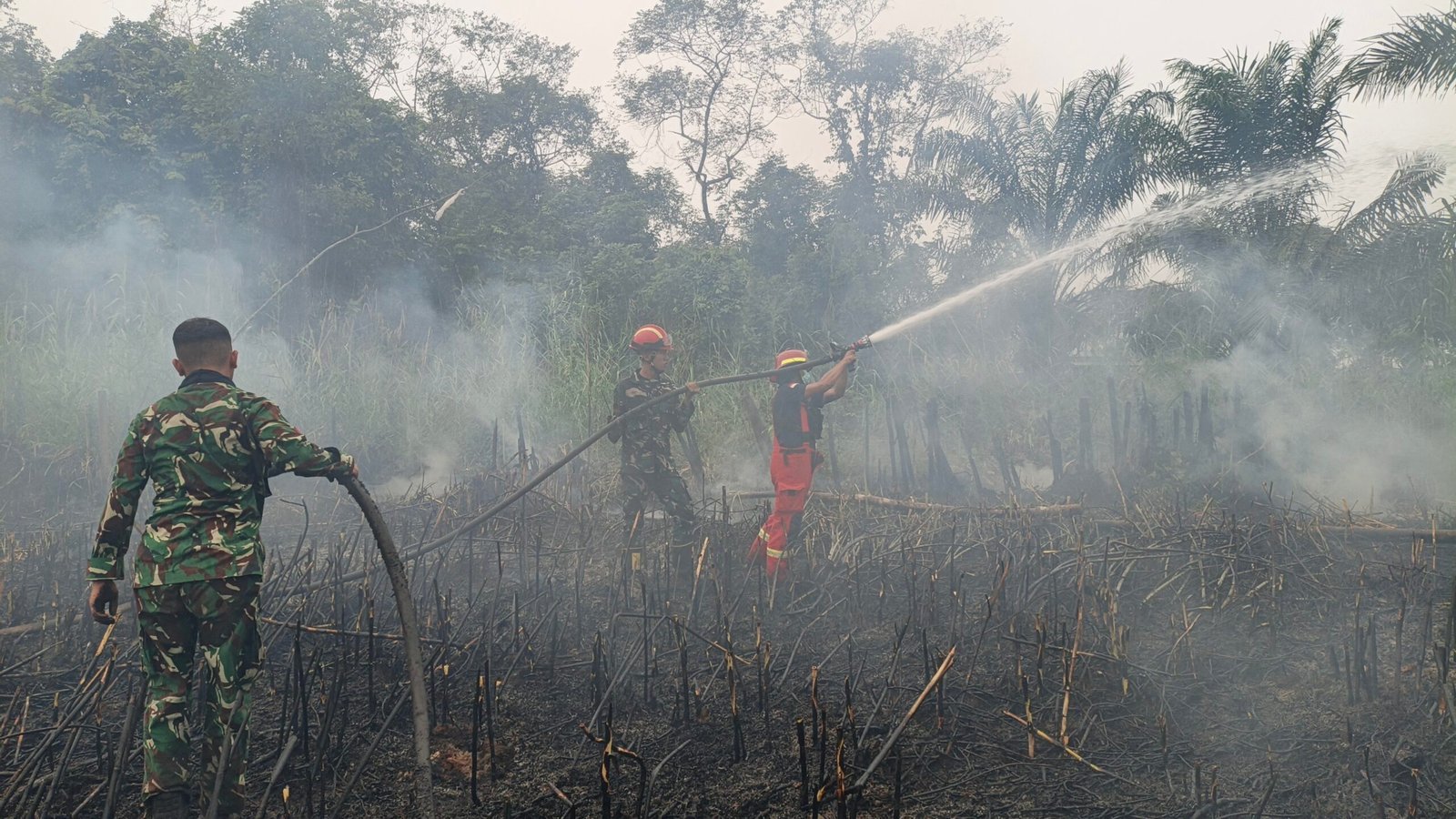 Dukungan Warga dan TNI Padamkan Karhutla 1 Hektare di Sepaso Selatan