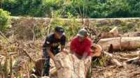 Bersihkan Lahan, Tumbuhkan Harapan! Yonif TP 859/RBK dan Petani Bersatu di Kab. Supiori Bersihkan Lahan, Tumbuhkan Harapan! Yonif TP 859/RBK dan Petani Bersatu di Kab. Supiori