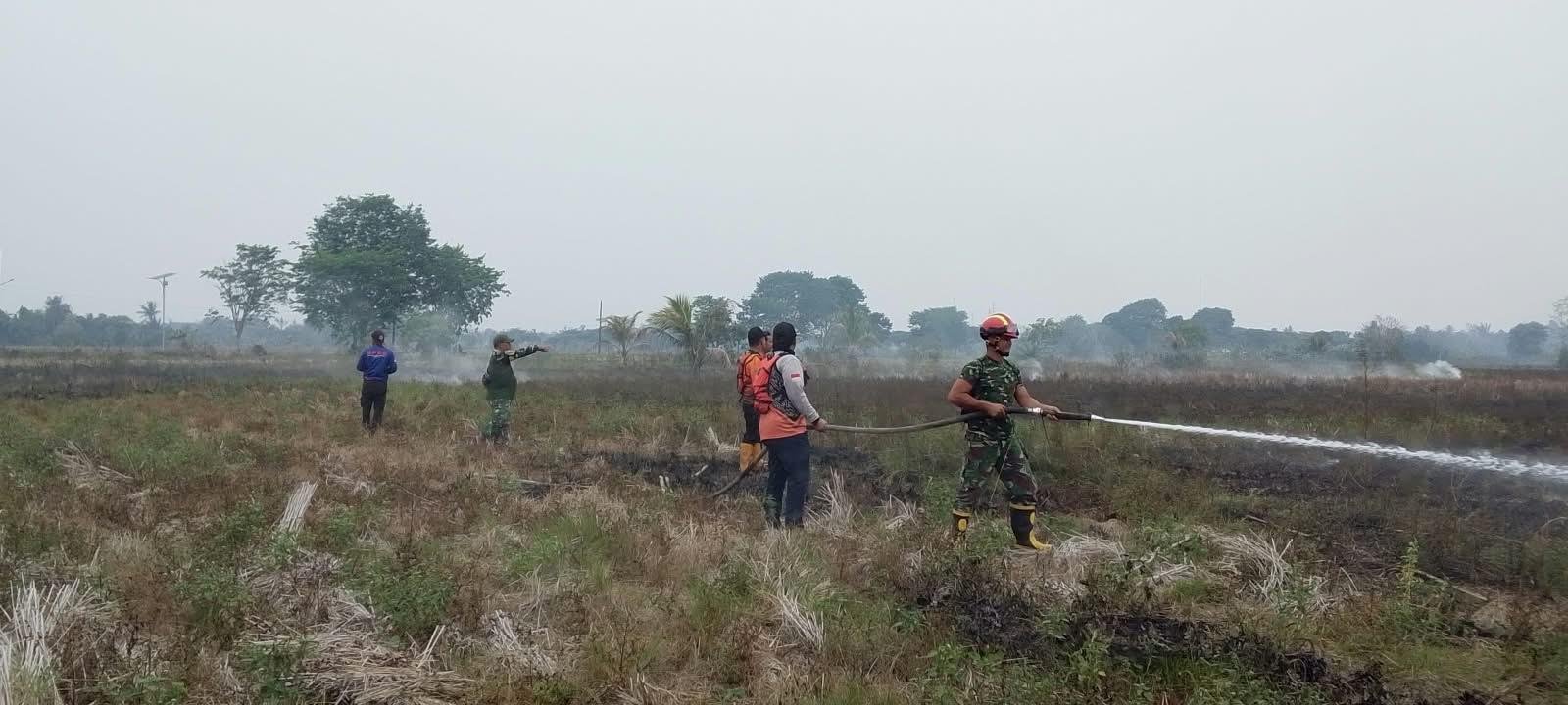 Personel dan Truk Tangki Kodim 1010/Tapin Dikerahkan Padamkan Karhutla di Desa Paul