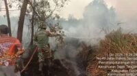 Koramil Bersama Damkar Padamkan Karhutla di Desa Pandahan Tapin Koramil Bersama Damkar Padamkan Karhutla di Desa Pandahan Tapin