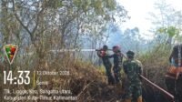Petugas Padamkan Karhutla di Teluk Lingga, Api Padam Dalam 95 Menit