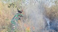 Tiga Titik Api di Desa Sekerat; Lahan Sekitar 12–15 Hektare Terbakar