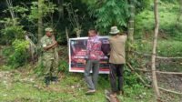 Babinsa Koramil 01/Jaya Pasang Spanduk Imbauan Cegah Karhutla di Aceh Jaya