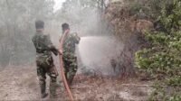 Kodim 1203/Ketapang Terus Lakukan Penanganan Karhutla