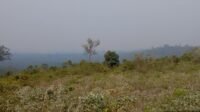 Pantauan Babinsa di Eks Lokasi Karhutla Dusun Sekurau