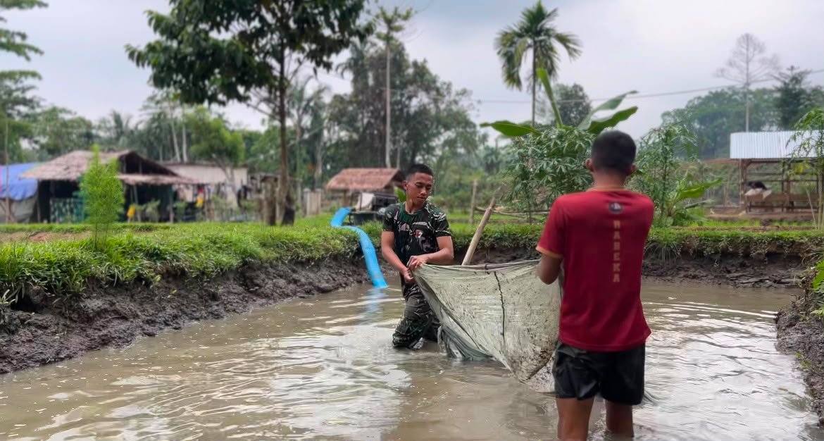 Panen Lele, Prajurit Yonif TP 859/RBK Langkah Nyata Menuju Kemandirian Pangan Di Kab. Supiori