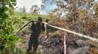 Kodim 1203/Ketapang Terus Lakukan Penanganan Karhutla untuk Melindungi Masyarakat Kodim 1203/Ketapang Terus Lakukan Penanganan Karhutla untuk Melindungi Masyarakat