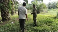 Patroli Rawan Bencana di Panga Sasar Kebun dan Peternakan Kambing Warga Aceh Jaya Patroli Rawan Bencana di Panga Sasar Kebun dan Peternakan Kambing Warga Aceh Jaya