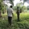 Patroli Rawan Bencana di Panga Sasar Kebun dan Peternakan Kambing Warga Aceh Jaya