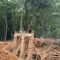 Gotong Royong Pengecoran Tiang Pondasi Jembatan Garuda Tahap VII Dilakukan Babinsa dan Warga