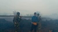 Kodim 1203/Ketapang Terus Lakukan Penanganan Karhutla, Prajurit Berjibaku Siang dan Malam Kodim 1203/Ketapang Terus Lakukan Penanganan Karhutla, Prajurit Berjibaku Siang dan Malam