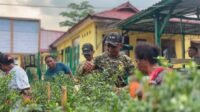 Panen Bersama, Harapan Masyarakat Tumbuh! Yonif TP 859/RBK Perkuat Ketahanan Pangan di Supiori Panen Bersama, Harapan Masyarakat Tumbuh! Yonif TP 859/RBK Perkuat Ketahanan Pangan di Supiori
