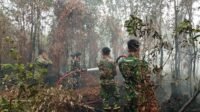 ‎Kodim 1005/Barito Kuala Tak Kenal Lelah, Terus Berjuang Kendalikan Karhutla di Wilayah Kabupaten Barito Kuala‎