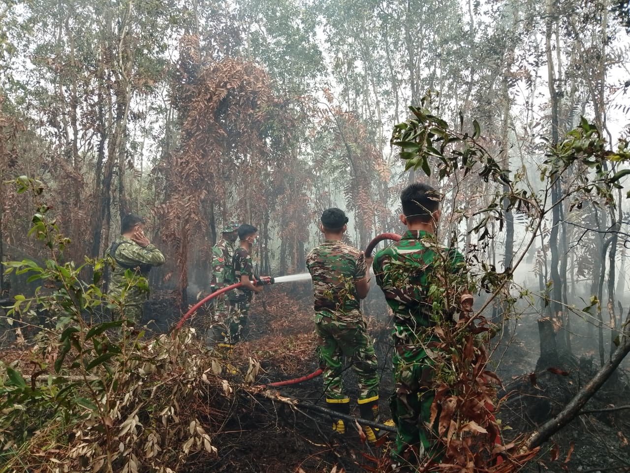‎Kodim 1005/Barito Kuala Tak Kenal Lelah, Terus Berjuang Kendalikan Karhutla di Wilayah Kabupaten Barito Kuala‎