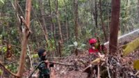Siang dan Malam, Kodim 1203/Ketapang Bersama Unsur Terkait Terus Tangani Karhutla Siang dan Malam, Kodim 1203/Ketapang Bersama Unsur Terkait Terus Tangani Karhutla