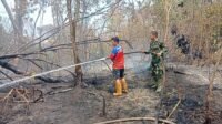 Gabungan TNI-Relawan Padamkan Karhutla di Tapin, Babinsa: Pastikan Lokasi Aman