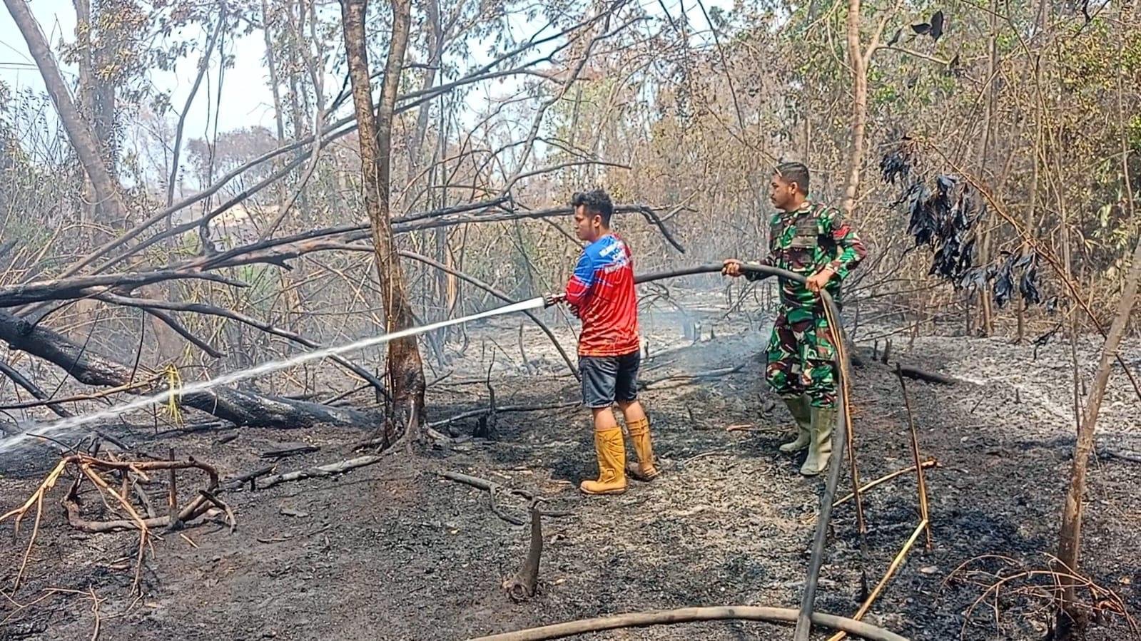 Gabungan TNI-Relawan Padamkan Karhutla di Tapin, Babinsa: Pastikan Lokasi Aman