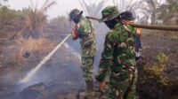 Cegah Api Meluas, Personel Kodim 1203/Ketapang Perkuat Penanganan Karhutla Cegah Api Meluas, Personel Kodim 1203/Ketapang Perkuat Penanganan Karhutla