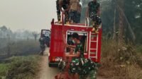 Kodim 1005/Barito Kuala Terus Bergerak Kendalikan Karhutla Seluas 10 Hektar di Sungai Ramania Desa Trantang Kodim 1005/Barito Kuala Terus Bergerak Kendalikan Karhutla Seluas 10 Hektar di Sungai Ramania Desa Trantang