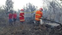 Kodim 1203/Ketapang Beserta Jajaran Terus Tangani Karhutla, Perkuat Pemadaman dan Patroli