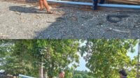 Gotong Royong: Babinsa Koramil 03/Kaway XVI Bantu Angkut Bahan Bangunan Warga Gotong Royong: Babinsa Koramil 03/Kaway XVI Bantu Angkut Bahan Bangunan Warga
