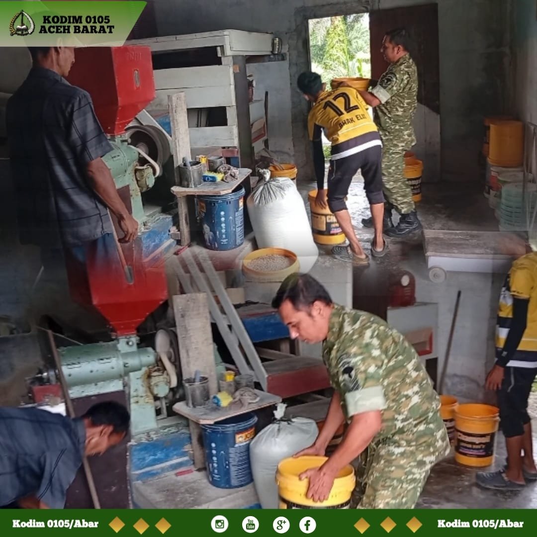 Usai Panen, Babinsa Samatiga Ikuti Proses Pengolahan Padi dan Perkembangan Harga