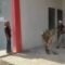 Gotong Royong Bersihkan Kantor Kopdes Padang Kleng, Babinsa Dukung Kesiapan Operasional Koperasi