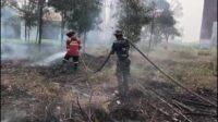 Tak Cukup Padamkan Api, Kodim 1203/Ketapang Lanjutkan Pendinginan Area Karhutla Tak Cukup Padamkan Api, Kodim 1203/Ketapang Lanjutkan Pendinginan Area Karhutla