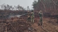 Penanganan Berkelanjutan Jadi Komitmen Kodim 1203/Ketapang Hadapi Ancaman Karhutla Penanganan Berkelanjutan Jadi Komitmen Kodim 1203/Ketapang Hadapi Ancaman Karhutla