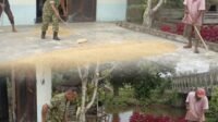 Pendampingan Pascapanen Jadi Bentuk Kepedulian Babinsa terhadap Petani Samatiga Pendampingan Pascapanen Jadi Bentuk Kepedulian Babinsa terhadap Petani Samatiga