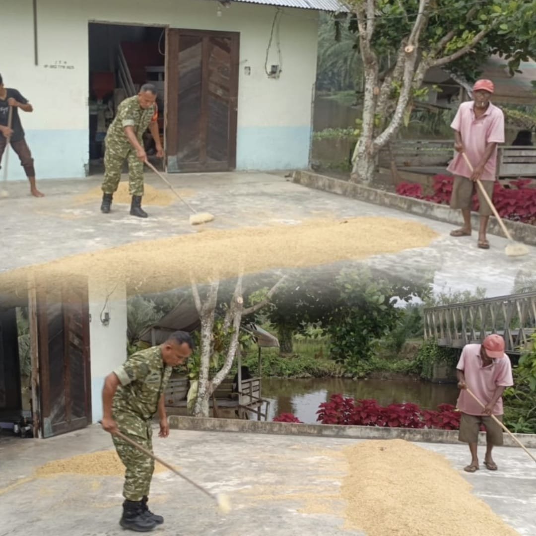 Pendampingan Pascapanen Jadi Bentuk Kepedulian Babinsa terhadap Petani Samatiga