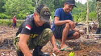Dari Lahan Menjadi Harapn, Prajurit dan Masyarakat Tanam Padi Gogo Bersama wujudkan kemandirian pangan