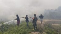 Gabungan Petugas dan Warga Padamkan Karhutla di Kelurahan Singa Geweh