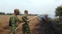 Bersama Masyarakat, Kodim 1005/Barito Kuala Berhasil Padamkan Karhutla di Tanjung Harapan Bersama Masyarakat, Kodim 1005/Barito Kuala Berhasil Padamkan Karhutla di Tanjung Harapan