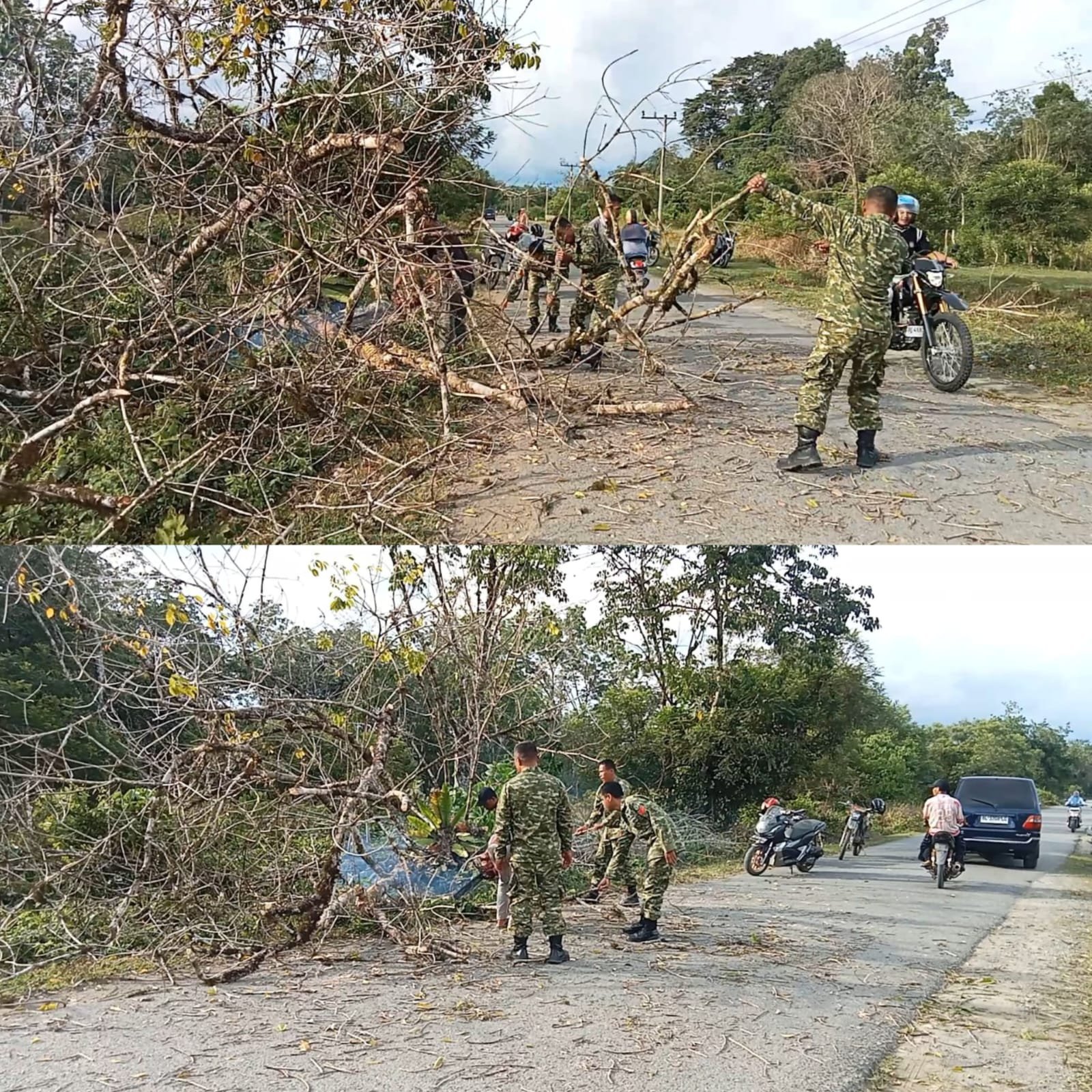 Pohon Tumbang Hambat Aktivitas Warga, Posramil Pante Ceureumen Lakukan Pembersihan Jalan