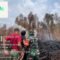 ‎Tengah Keterbatasan Air dan Angin Kencang, Tim Gabungan Tekun Padamkan Karhutla di Handil Bakti‎
